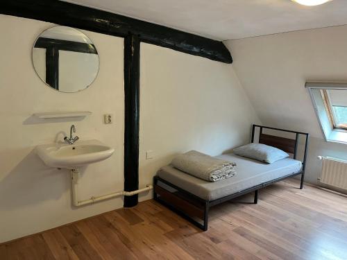 een badkamer met een wastafel en een bed met een spiegel bij Familiehuis in Diever