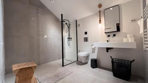 La salle de bains est pourvue d'une douche, de toilettes et d'un lavabo. dans l'établissement Cabana Sapte, à Breaza