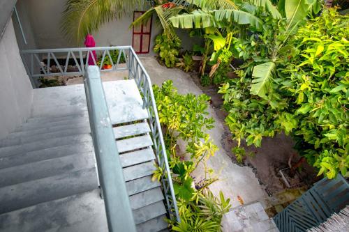 a person walking down a stairs in a garden at Night Star Dhangethi in Dhangethi