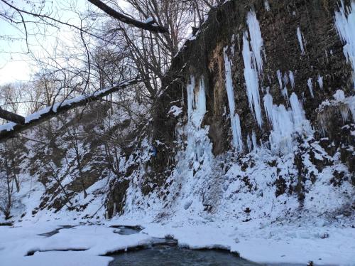 Το Domki całoroczne Bieszczady Panasiewiczówka τον χειμώνα