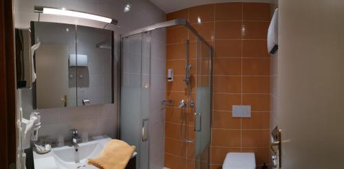W łazience znajduje się prysznic, umywalka i toaleta. w obiekcie Hôtel Saint-Georges w mieście Saint-Jean-de-Maurienne
