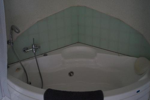 a bath tub in a bathroom with a shower at chambre d’hôtes la jument grise in Lescheroux