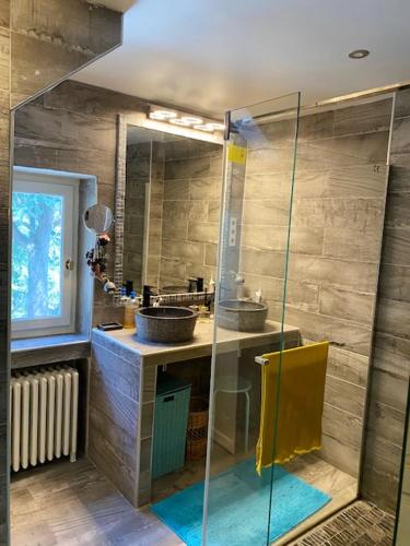 une salle de bain avec une douche en verre avec un lavabo dans l'établissement Villa authentique à Saint-Maximin-la-Sainte-Baume avec piscine privée, à Saint-Maximin-la-Sainte-Baume