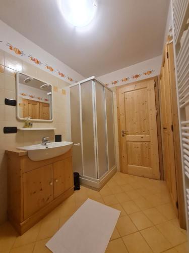 een badkamer met een wastafel, een douche en een spiegel bij Casa Pontesana in Pellizzano