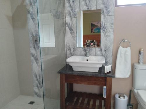 a bathroom with a sink and a mirror at SONHOS dreams Self catering Garden Cottages in Bloemfontein