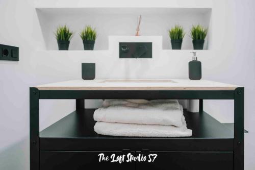 a bathroom counter with a sink and some plants at The Loft Studio 57 - VUT.3352AS in Ribadesella