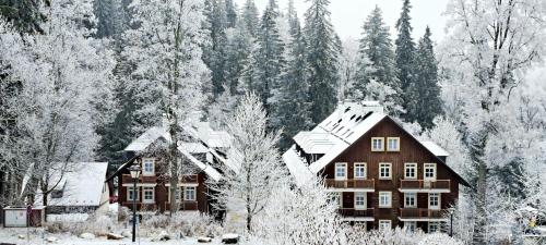 uma casa coberta de neve em frente a uma floresta em Hubertus Karlova Studánka em Karlova Studánka