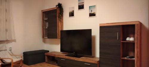 sala de estar con TV de pantalla plana sobre una mesa en FeWo in Cranzahl en Cranzahl