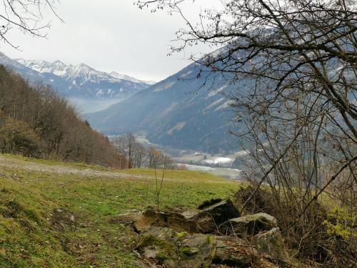a field of grass with mountains in the background at Appartement NaMoll in Ausserfragant