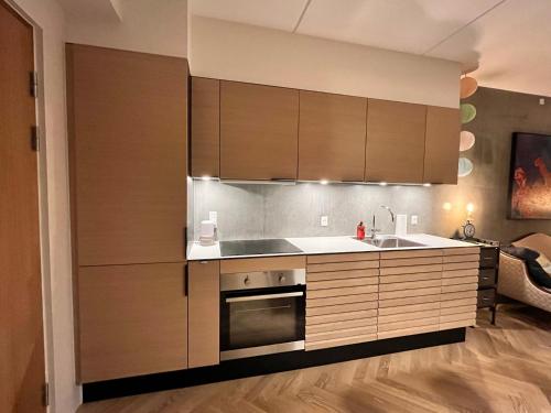 Η κουζίνα ή μικρή κουζίνα στο Apartment directly to seafront of Bassin 7 with big balcony and free parking
