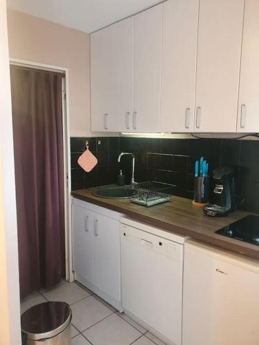 une cuisine avec des armoires blanches et un comptoir dans l'établissement Lyon 8 Grange Blanche Appartement calme de 50 m², à Lyon