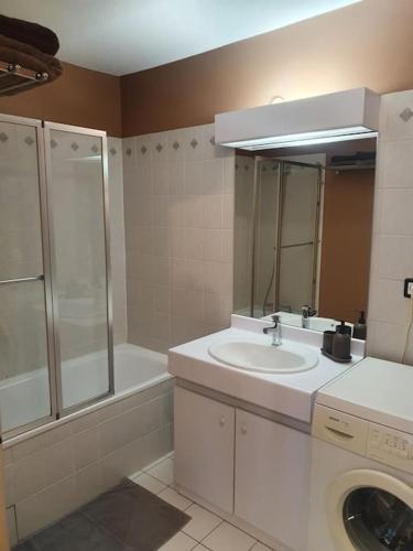 La salle de bains est pourvue d'un lavabo, d'une douche et d'un lave-linge. dans l'établissement Lyon 8 Grange Blanche Appartement calme de 50 m², à Lyon