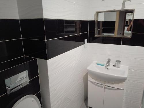 a bathroom with a sink and a toilet and a mirror at Dreapart Pruszcz gdański in Pruszcz Gdański