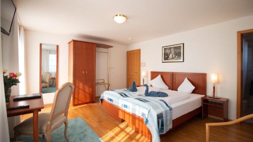 Gallery image of Hotel Schloss Romanshorn in Romanshorn