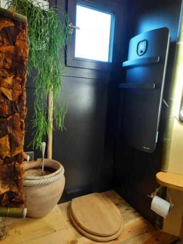 ein Badezimmer mit einer Pflanze in einem großen Topf in der Unterkunft La petite maison dans la prairie 