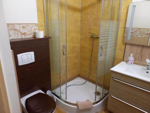 a bathroom with a shower with a toilet and a sink at Pokoje Gościnne Jaga in Kielce
