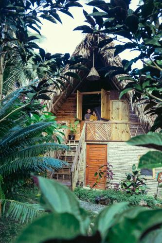a man looking out of a window of a hut at La Colmena RD in Santa Bárbara de Samaná