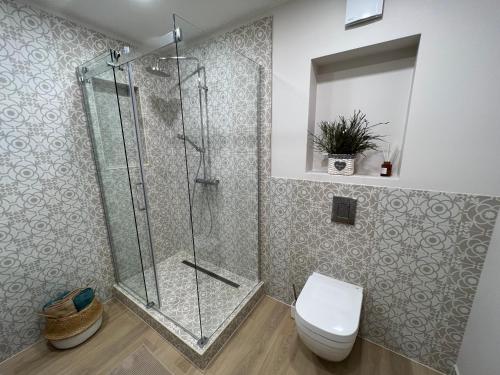 a bathroom with a shower and a toilet at Roja Lux Apartment in Roja