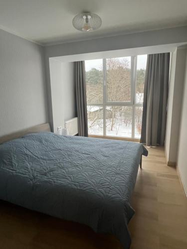 Gallery image of Roja Lux Apartment in Roja