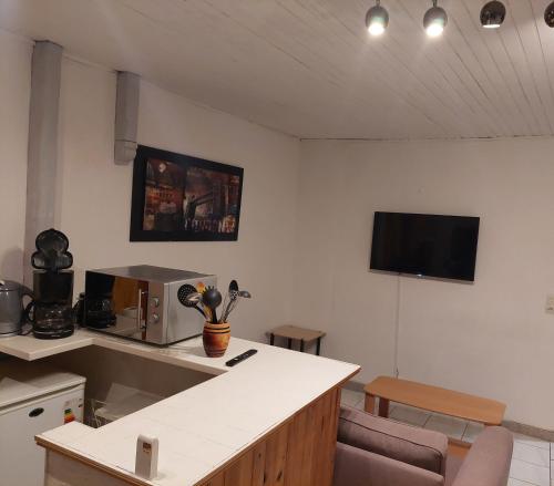 TV a/nebo společenská místnost v ubytování T2 plein centre et au calme