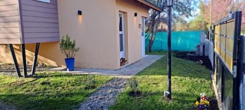 Malva – Photos 4