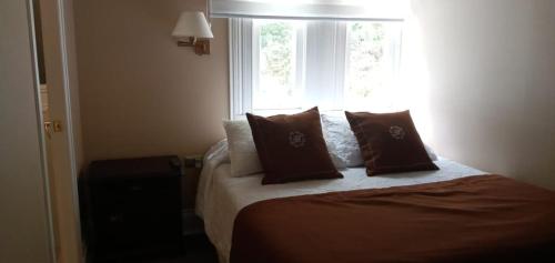 a bedroom with a bed with pillows and a window at Belle Epoque Hostal in Viña del Mar