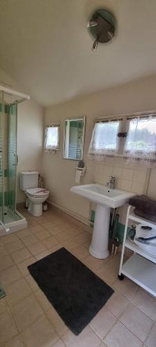 une salle de bain avec un lavabo et des toilettes dans l'établissement Chalet au calme en forêt, à Coye-la-Forêt