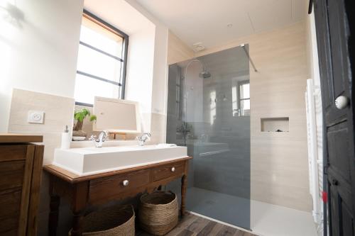 濱海拉普蘭的住宿－Appartement cosy en cœur de bourg，一间带水槽和淋浴的浴室