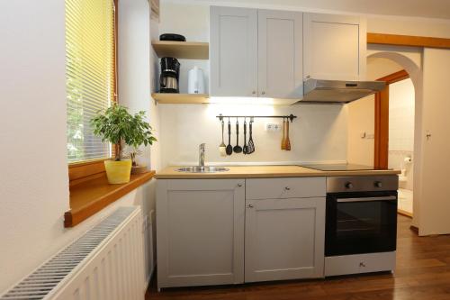 a kitchen with white cabinets and a sink at Vila Edelweiss Rooms&App Kranjska Gora in Kranjska Gora