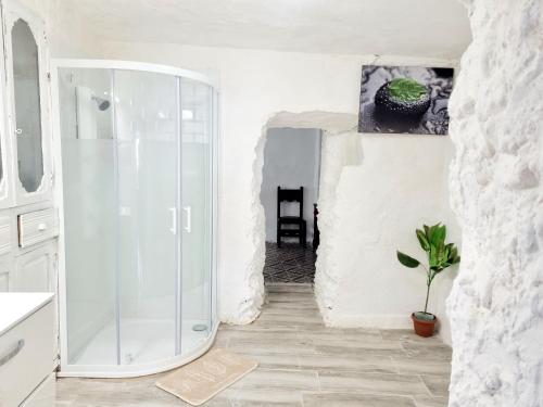 a bathroom with a glass shower and a potted plant at Apartamentos La Cueva in Paterna