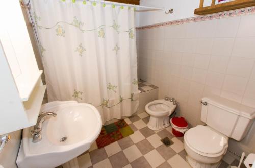 uma casa de banho com um lavatório, um WC e uma cortina de chuveiro. em Gray Fox Apartments Casa La Rafaela em Ushuaia