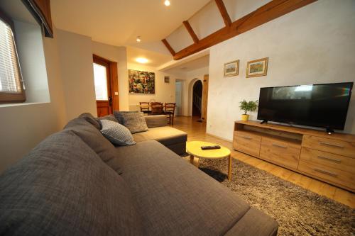 a living room with a couch and a flat screen tv at Vila Edelweiss Rooms&App Kranjska Gora in Kranjska Gora