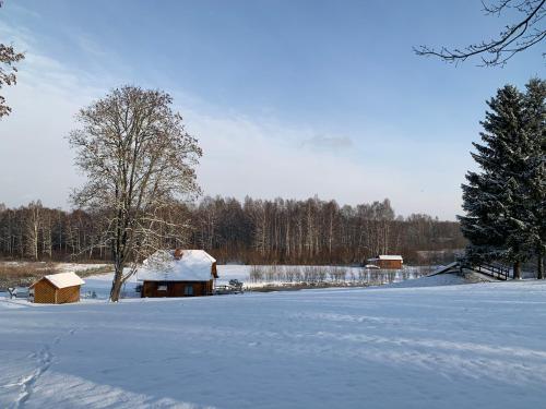 冬のKundziņiの様子