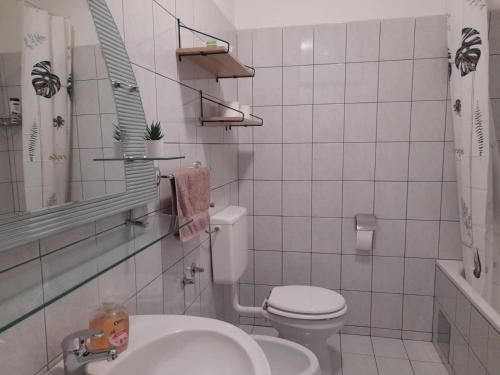 een kleine badkamer met toilet en wastafel bij Fran in Novi Zagreb