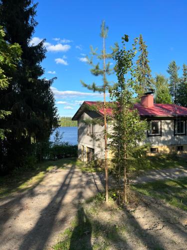 ein altes Haus mit einem Baum neben einer Straße in der Unterkunft Kotirinne 135 - järven rannalla in Jyväskylä