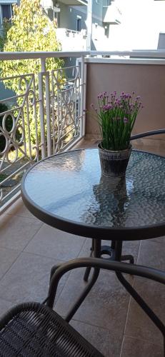 a glass table with a potted plant on a balcony at Apartman Harmonija Vrnjačka Banja in Vrnjačka Banja