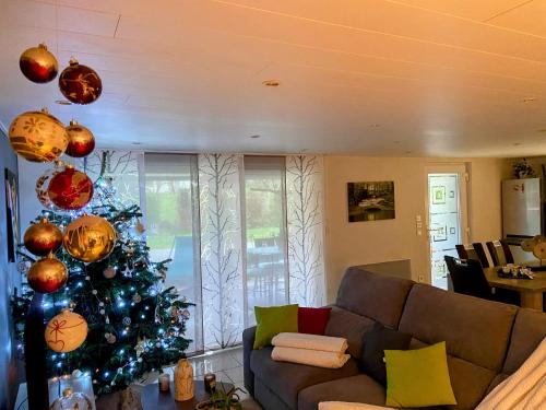 a christmas tree in a living room with a couch at Gîte de la Vallée in Dambach