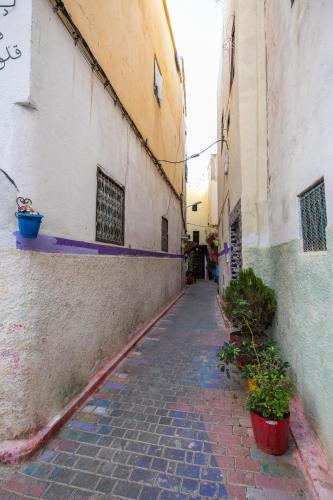 an alley with potted plants on the side of a building at Riad bel kayed in Fès