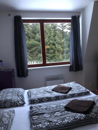 2 Betten in einem Schlafzimmer mit einem großen Fenster in der Unterkunft Apartmán Ramzová Kometa in Ostružná