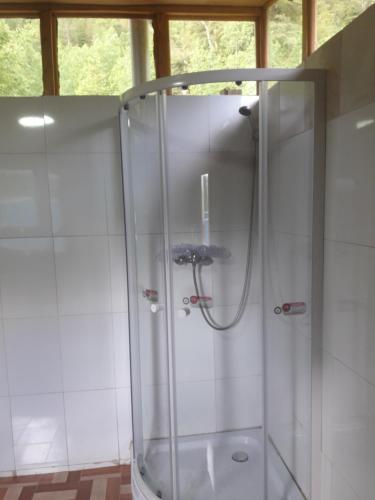 y baño con ducha y puerta de cristal. en Alquimia del Hualle, en Melipeuco