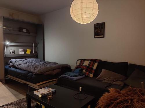 ein Wohnzimmer mit einem Sofa und einem Bett in der Unterkunft Spacious and cozy study apartment with balcony in Oslo