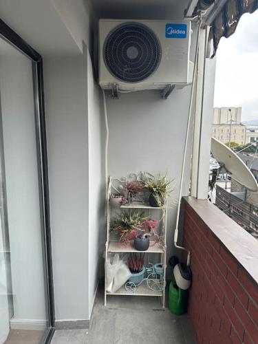 a balcony with a fan and potted plants on a wall at Golden Old Avlabari in Tbilisi City
