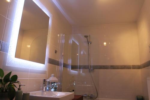 a bathroom with a shower and a sink at B&B Maison Durbois in Durbuy