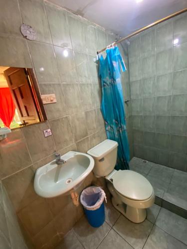 a bathroom with a toilet and a sink at Hostal Maria Mercedes in Baños