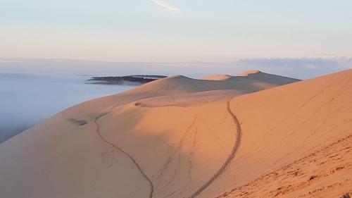 a sand dune in front of a body of water at Les Marinas de Cassy in Lanton