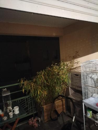 Belle appartement 70 M2 – Photos 5