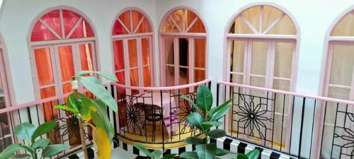 d'un balcon orné de vitraux et de plantes. dans l'établissement Dar Alouane, à Essaouira