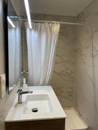 La salle de bains est pourvue d'un lavabo et d'une douche. dans l'établissement Appartement lumineux T2 avec terrasse et jardin, à Calvi