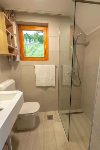 a bathroom with a shower and a toilet and a window at Holiday home in Trebelno - Dolenjska & Bela krajina Unter- & Weißkrain 26032 in Trebelno