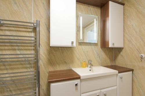 a bathroom with a sink and a mirror and a shower at Dairymaid's Cottage in Amble